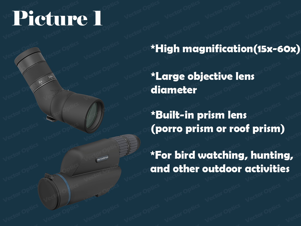 Angled vs Straight Spotting Scope, How to Choose?